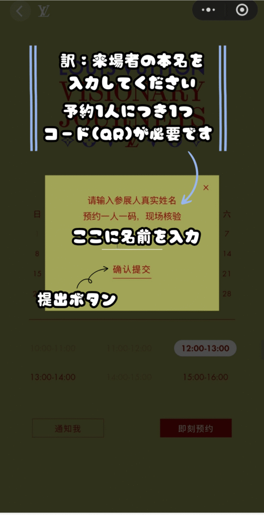 the louis visionary journeys 非凡之旅の予約画面、名前を入れるところ