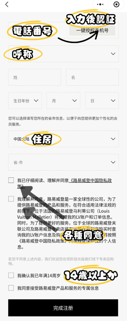 the louis visionary journeys 非凡之旅の予約画面、詳細情報入力画面