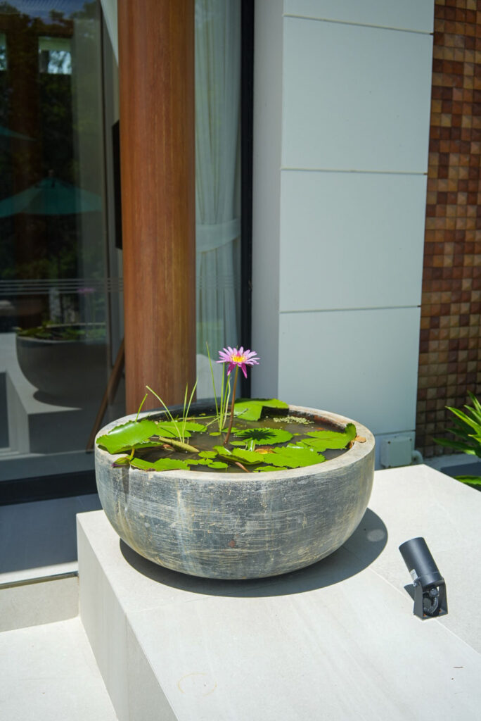 ダブルプールヴィラの庭にある蓮の花