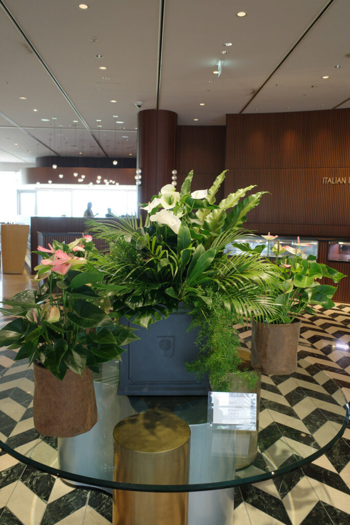 琵琶湖ホテルフロントのお花